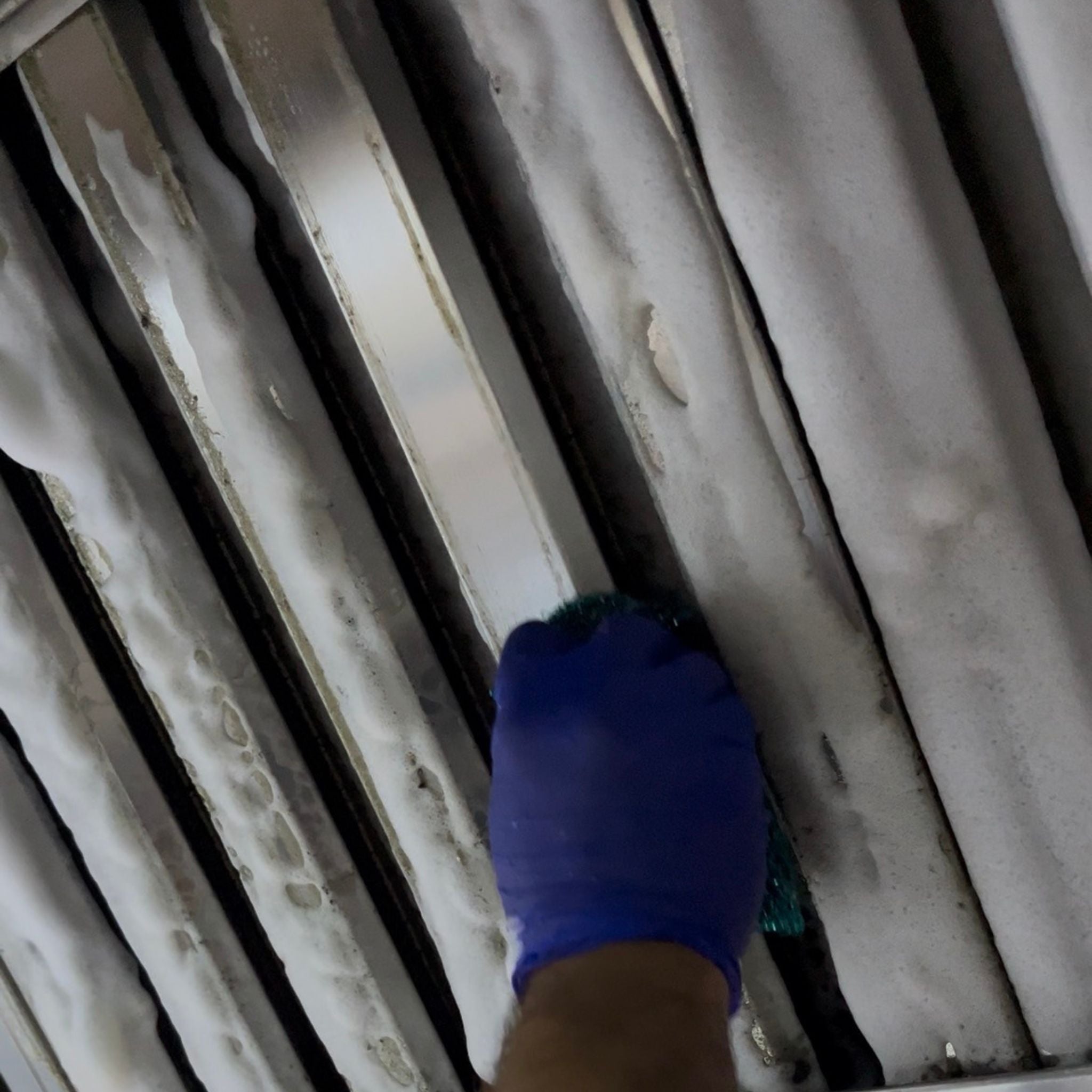 Oven Cleaner Pro